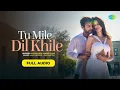 Tum Mile Dil Khile | New Version Song | Bollywood Remix Songs | Female Version Songs