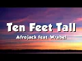 Download Lagu Afrojack feat. Wrabel - Ten Feet Tall (Lyrics)