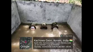                     دندنها