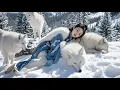 Download Lagu 扔入狼窝，都以為她必死無疑，却被护着一路逆袭！ 💗 Chinese Television Dramas