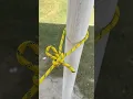 How To Tie A Quick Release Knot