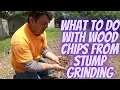 What to do with Wood Chips from Stump Grinding
