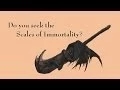 Best Quality Weapon - Dark Souls II