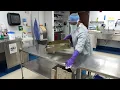 Explore a Career as a Sterile Processing Technician - Surgery