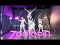Lagu Shakira - Zoo (From “Zootopia 2”) - TNT Dance Crew