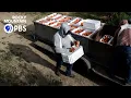 The journey of the Colorado peach