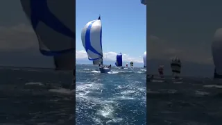 Racing Versus Cruising Sailors