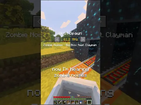 IF MINECRAFT HAD RADIO...