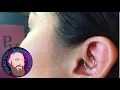 The Whole Truth - Daith Piercing