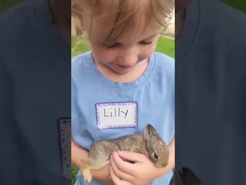 We found baby bunnies in our garden SO cute