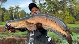 ഇത്രയും ചെറിയ തവളയിൽ ചെറുമീൻ കിട്ടുമോ..🙆♂️😱 | Fishing Videos | Village Fishing Videos | Fishing
