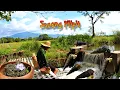 Download Lagu Cooking Laing Ginataan - simple dish humble life | Philippines | Kabagis 