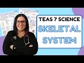 2025 ATI TEAS 7 Science Anatomy and Physiology Skeletal System with Nurse Cheung