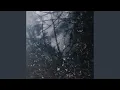 Rainfall
