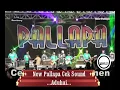 Download Lagu CEK SOUND New Pallapa Aduhai