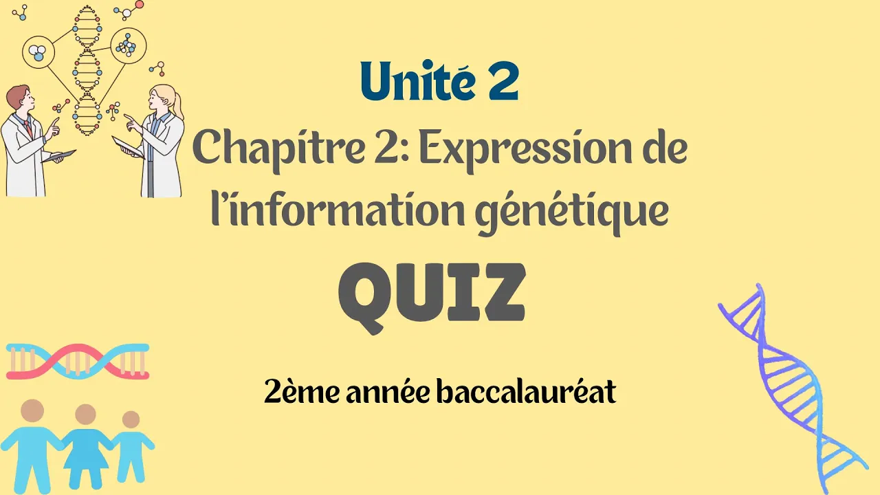 Révisez avec QCM : Expression de l’Information Génétique – 2ème Bac