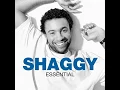 Shaggy - Piece Of My Heart (Remix)