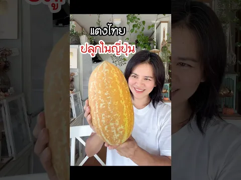 แตงไทยปลูกในญี่ปุ่น #แตงไทย #ชีวิตแม่บ้านญี่ปุ่น