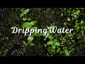 Drip Drip Drip 10 Hours of Relaxing Water Sounds