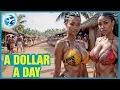 Download Lagu 15 Mind-Blowing Facts About Timor-Leste: The Country You Won’t Believe Exists! - Travel Documentary