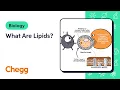 What Are Lipids Biology