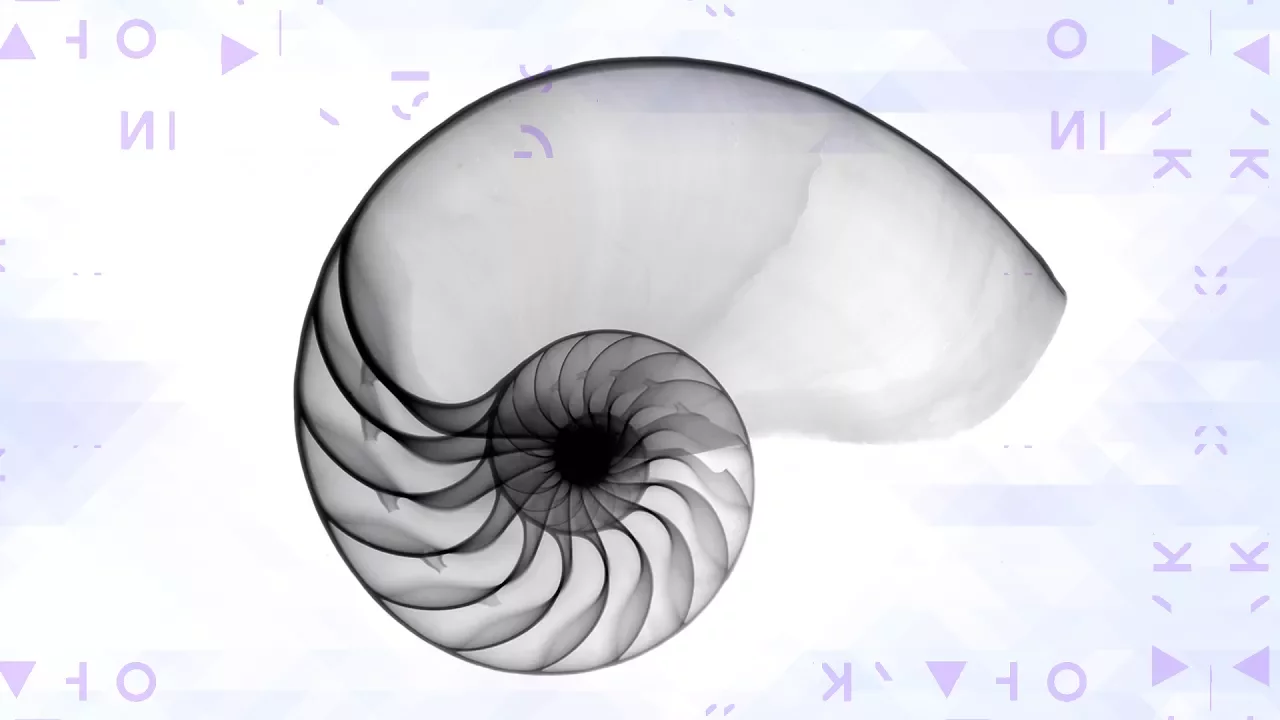 Fibonacci y el Número de Oro
