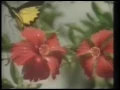 David Malone Live Stream 1 4