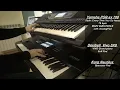 Download Lagu Every time you go away, Paul Young - instrumental cover by Ferdinando Montecuollo