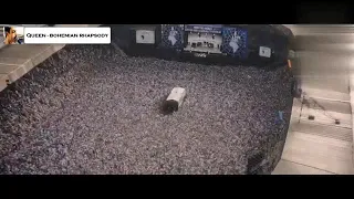 اغنية رامى مالك في فيلم Bohemian Rhapsody 