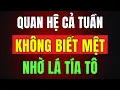 Download Lagu Tăng Cường Sinh Lý Đàn Ông Nhanh Chóng Với Mẹo Dùng Lá Tía Tô Hiệu Quả! Sức Khỏe Người Cao Tuổi