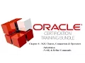 Chapter 4 1 SQL Clauses Comparison Operators Substitution Variables Define Command