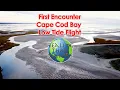 First Encounter Low Tide Flight filmed in 4k