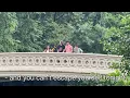 Download Lagu NERiMA - Amnesia (Lyric Video)