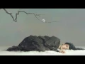 Download Lagu Arn Andersson \u0026 Nights Amore - Farewell Life [ emotional ]