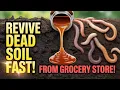 The Grocery Store Trick That Revives Dead Soil in Days Most Gardeners Ignore This