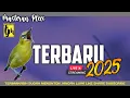Download Lagu 🔴Live Masteran Pleci Terbaru 2025