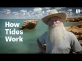 How does the Moon control Earth s tides Stargazing ABC Science
