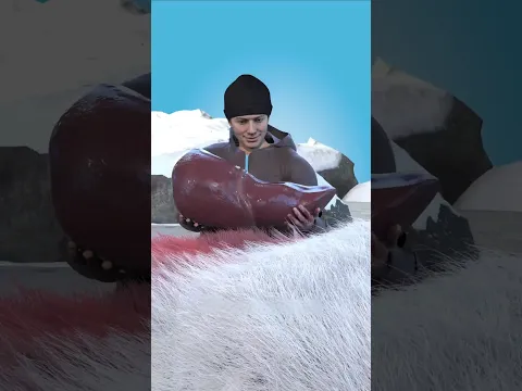 #bome