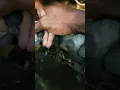 Freightliner Cascadia Bad starter Emergency quick start