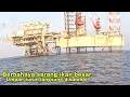 Lagu GAK NYANGKA BISA NAIK IKAN MONSTER !!!