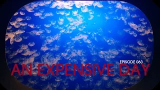 An Expensive Day – Van Life 063