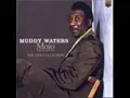 Muddy Waters - Good Morning Little Schoolgirl
