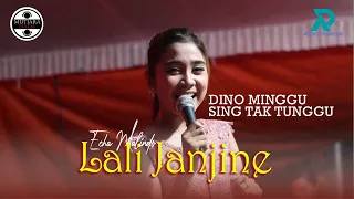 Download VIRALL!!!!! ECHA MALINDO - LALI JANJINE || MUTIARA NADA MUSIK MP3