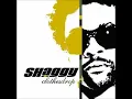 Supa Hypnotic - Shaggy ft Nicole Scherzinger