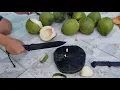 Download Lagu Kabar BK5 \u0026 BK9 vs Coconut