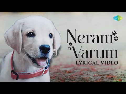 Neram Varum - YouTube
