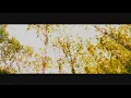 GOLD PANDA // IN MY CAR (UF) (MUSIC VIDEO)