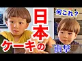 Download Lagu My son was shocked when he tried Japanese cake for the first time! He ate it all up and it was gone!