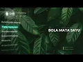 DNANDA - Bola Mata Sayu (LYRIC) lirik