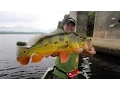 Download Lagu Gomoku Micro Series - Finesse Fishing at Chenderoh